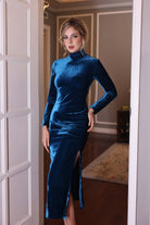 Turtleneck velvet dress