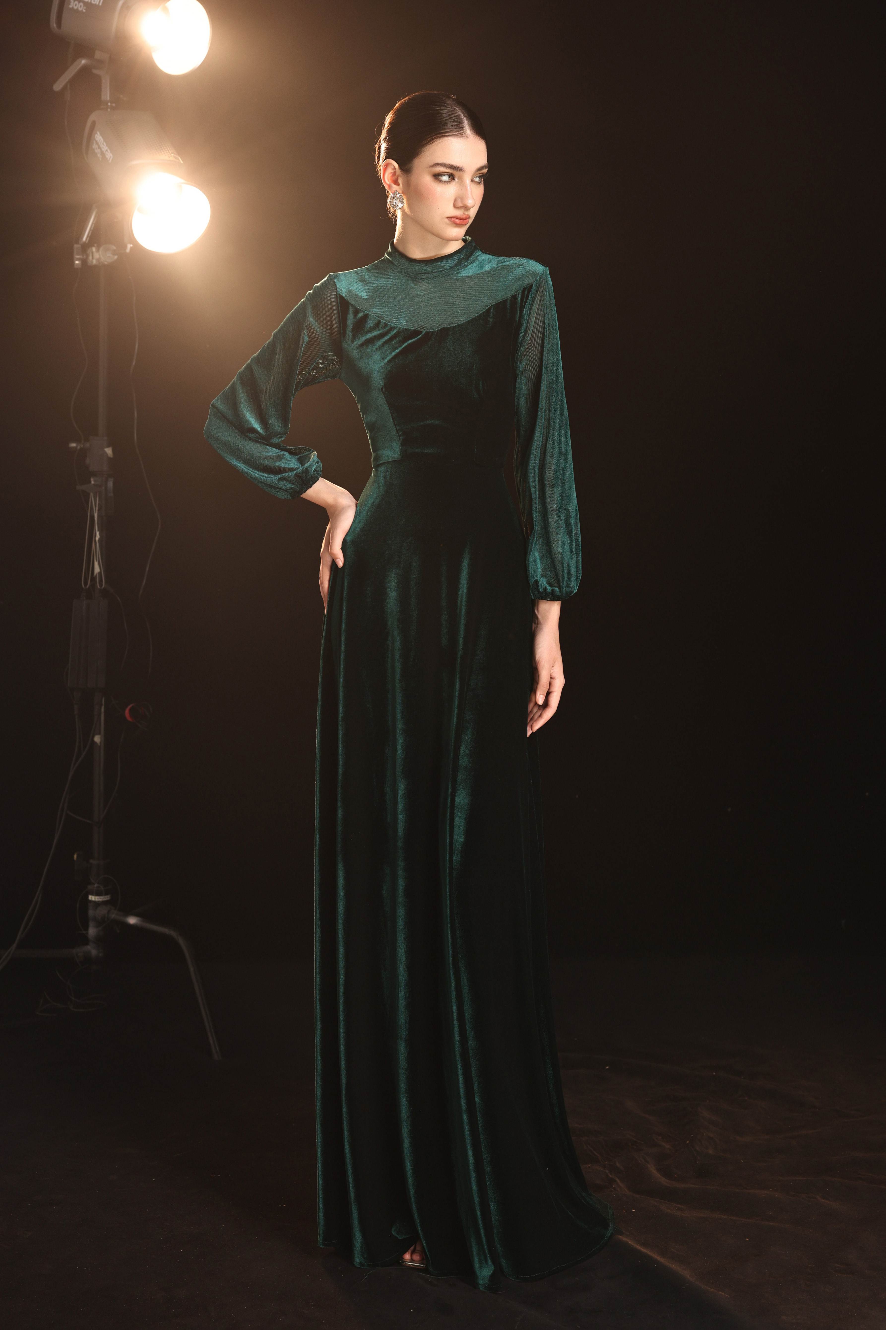 Mesh sleeve velvet maxi dress