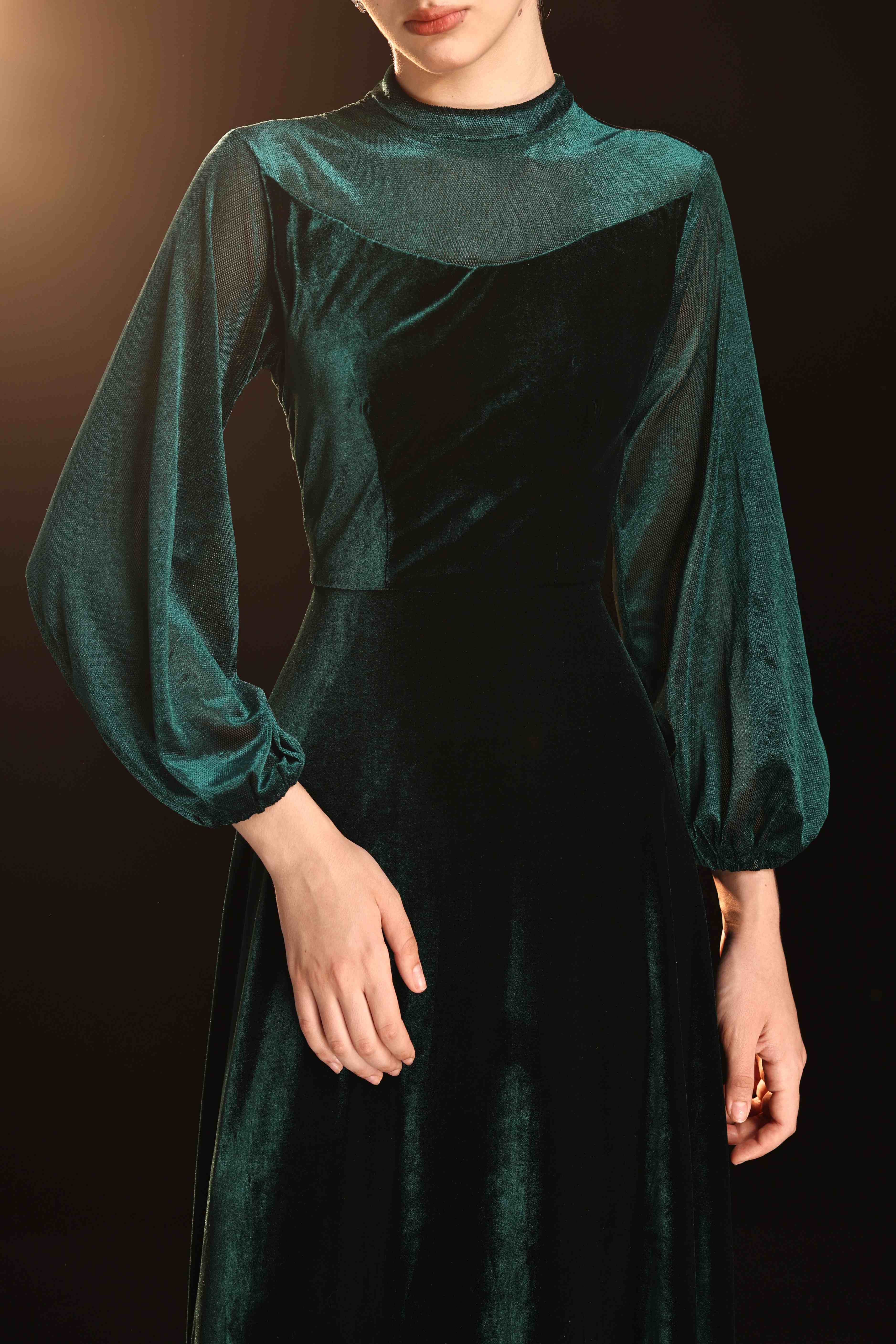 Mesh sleeve velvet maxi dress