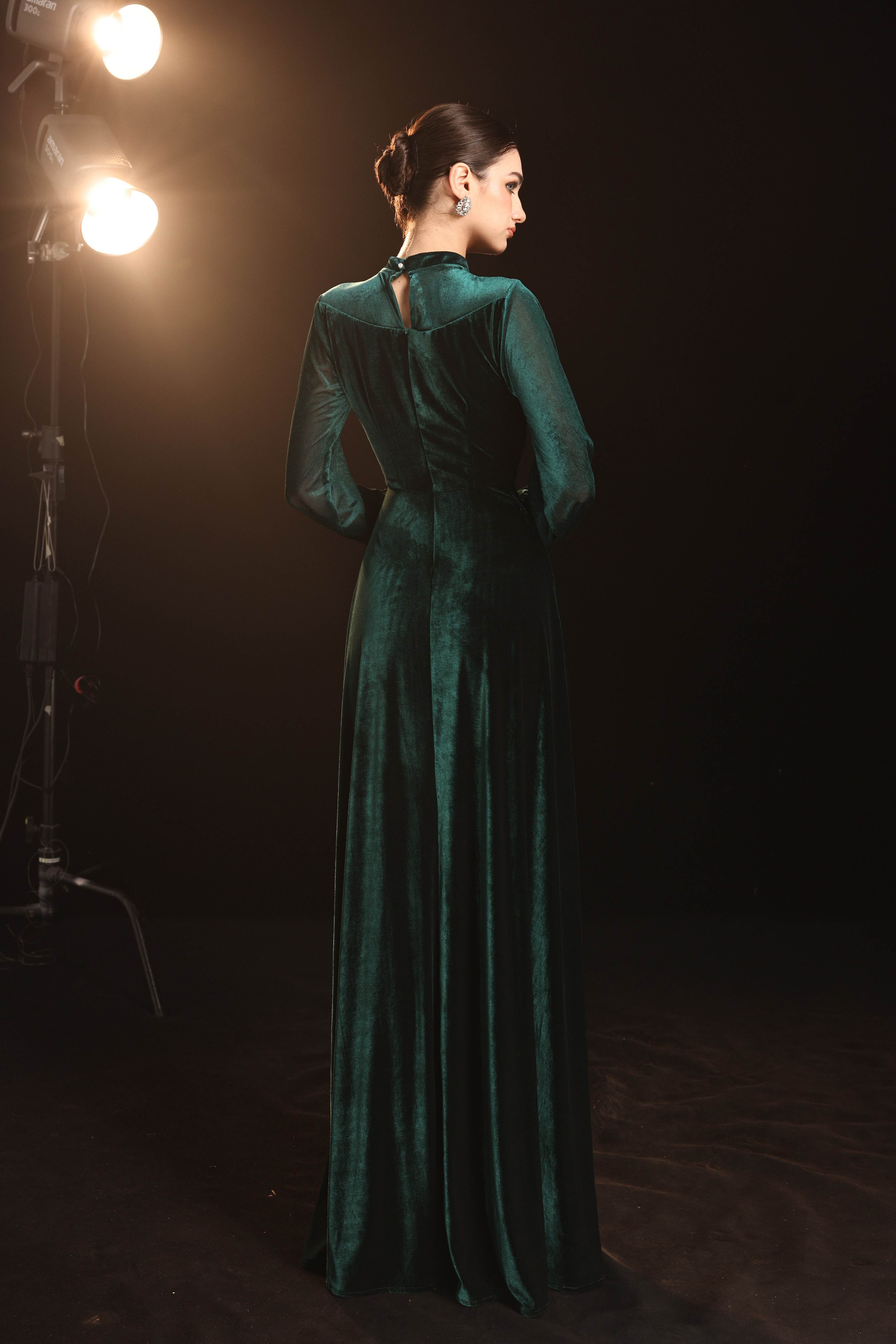 Mesh sleeve velvet maxi dress