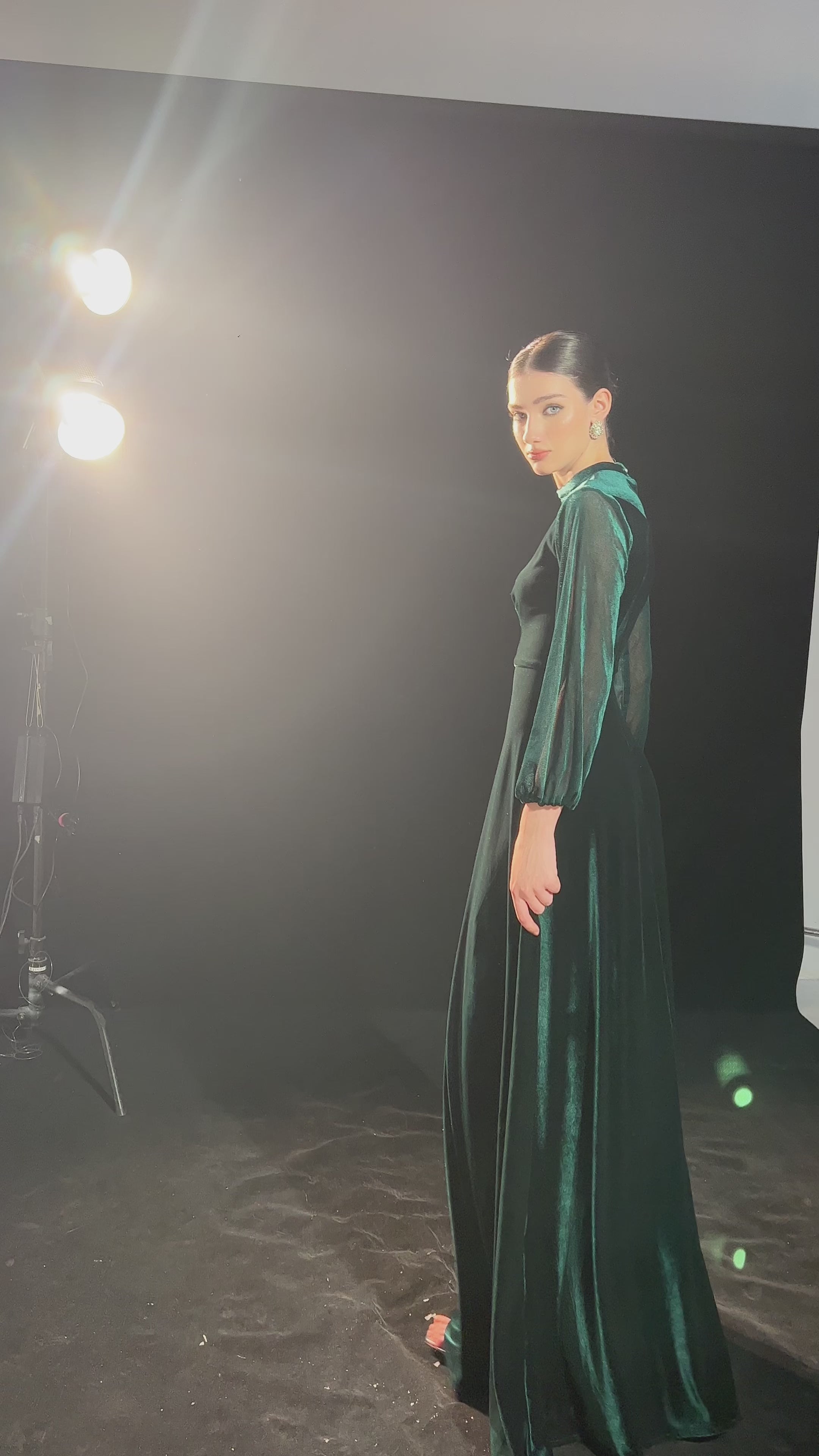 Mesh sleeve velvet maxi dress