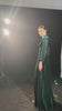 Mesh sleeve velvet maxi dress
