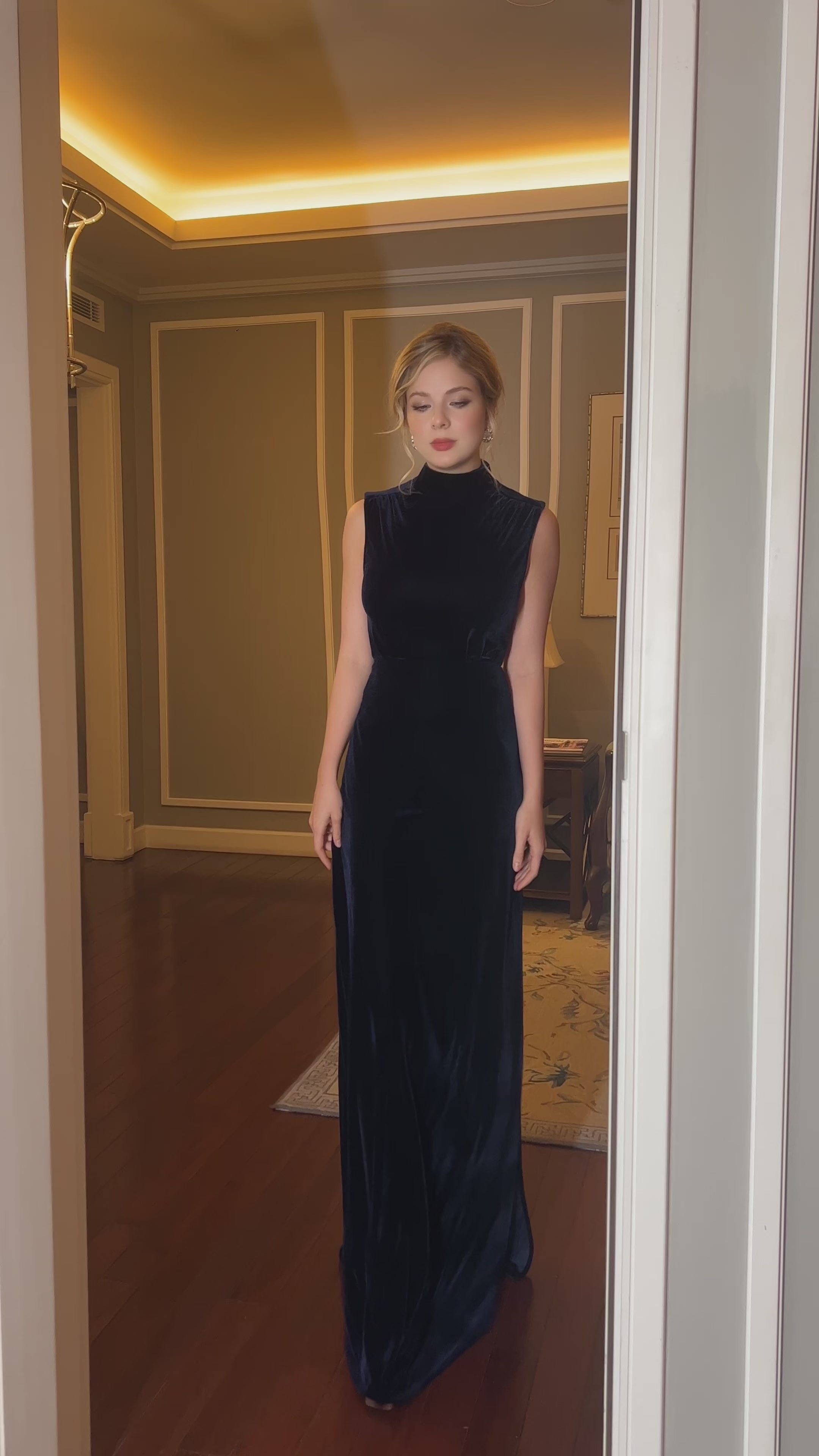 sleeveless high neck velvet dress