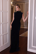 sleeveless high neck velvet dress